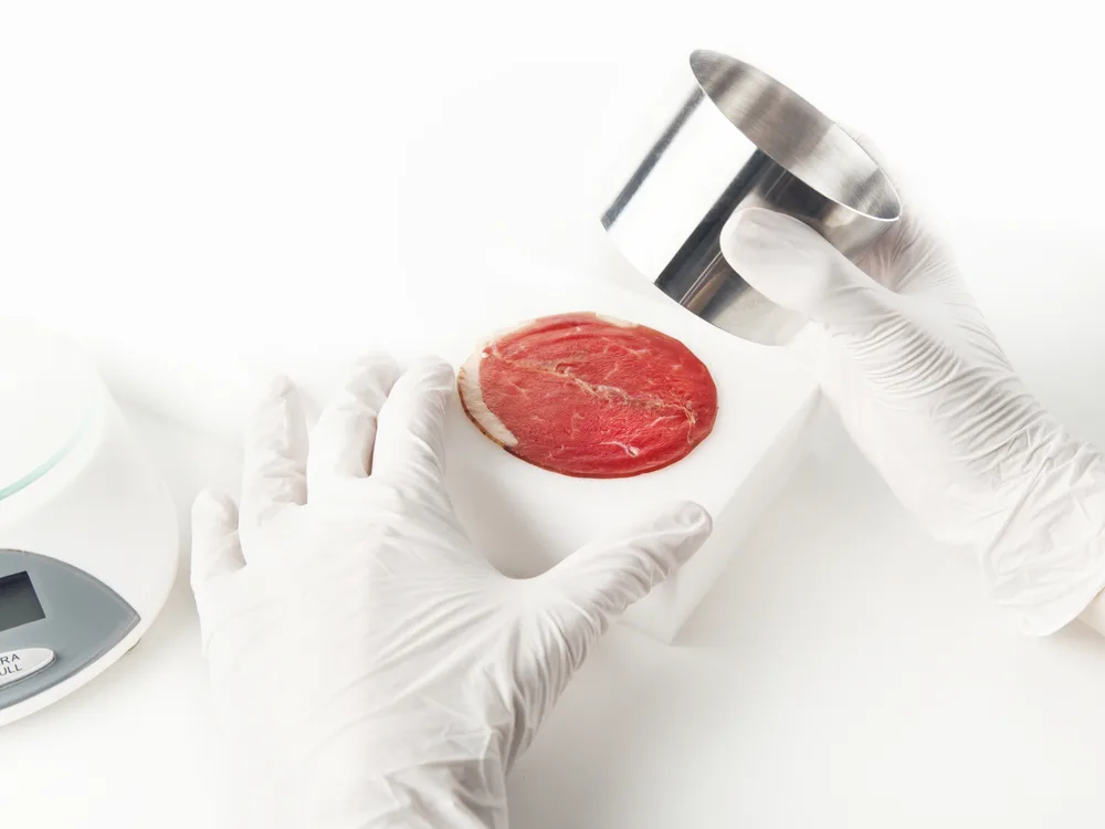 What if all our meat were grown in a lab?
