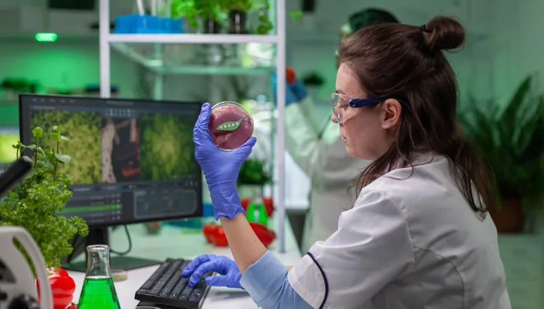 Europe's Crossroads in Novel Food Innovation and Regulation