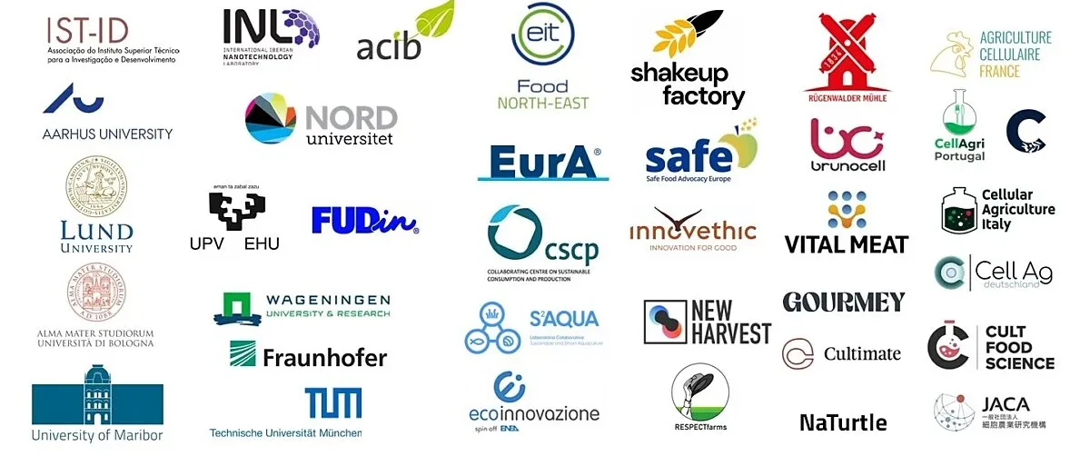 Logos of the FEASTS consortium partners